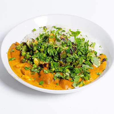 Indian Curry Korma